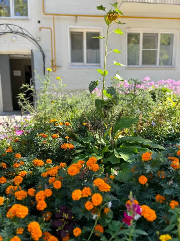 Честная цена, светлая, просторная квартира