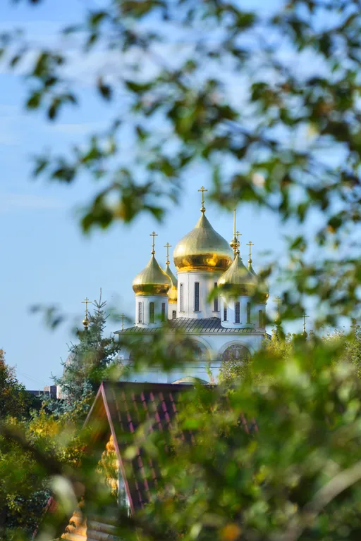 Уютная студия в центре города