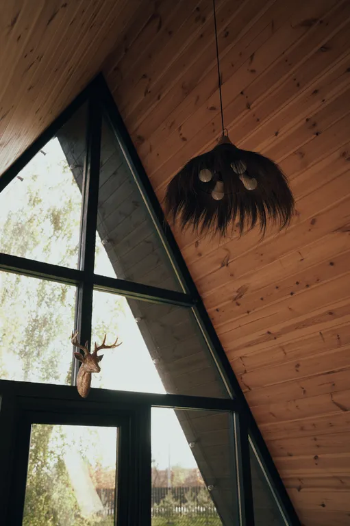 Шале в Беловежской Пуще Forest Soul Aframe