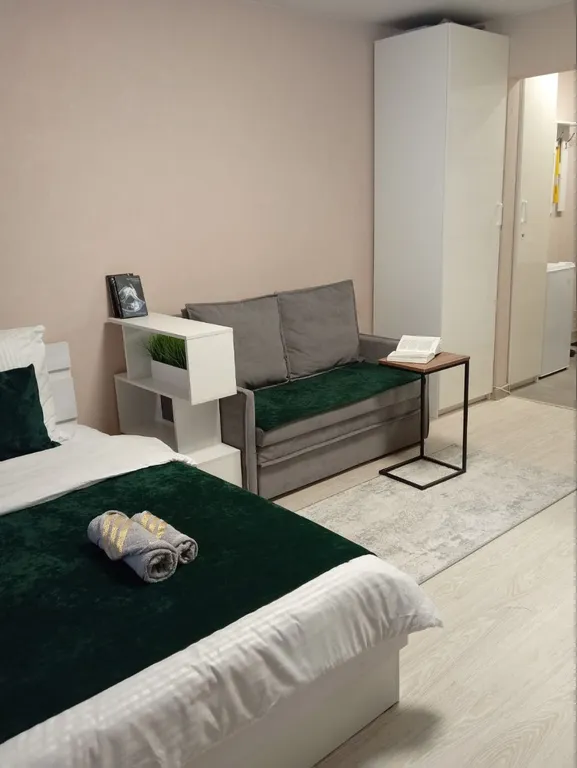 Уютная студия в ЖК Ёлки