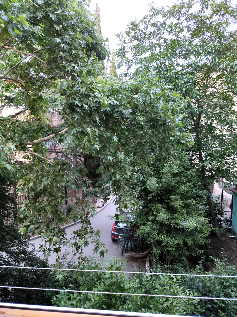 Вид с лоджии на палисадник.