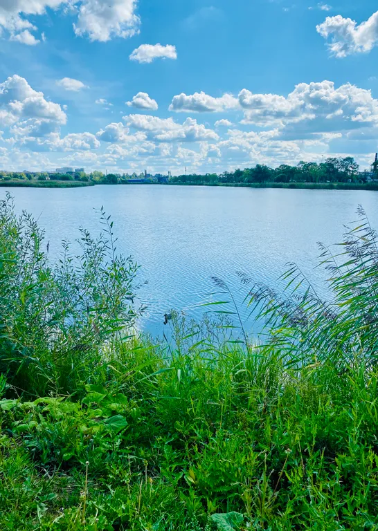 Квартира Квартира Дизайнерский апартамент с видом на воду — Санкт-Петербург