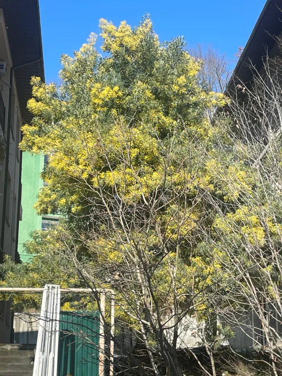 Уютная студия в тихом и живописном месте с прекрасным воздухом