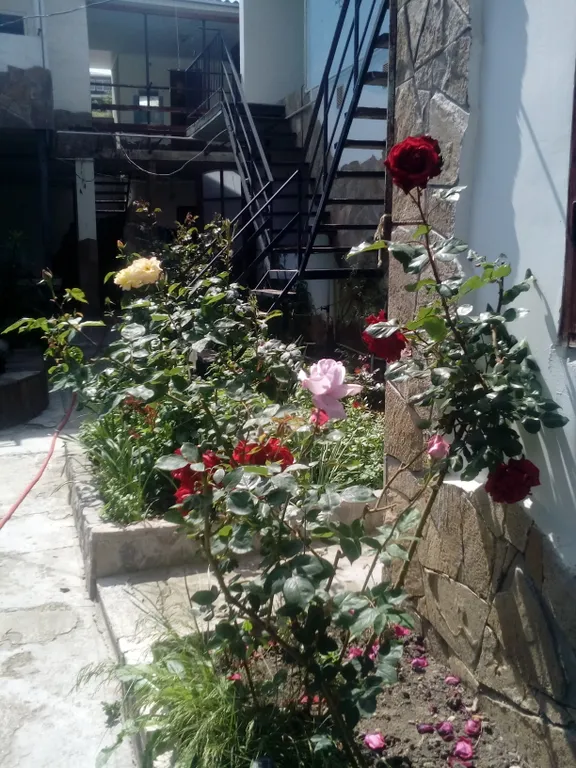 Квартира Квартира Уютный дворик — Судак