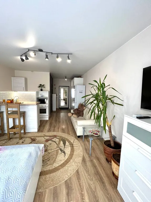 Просторная студия Африка