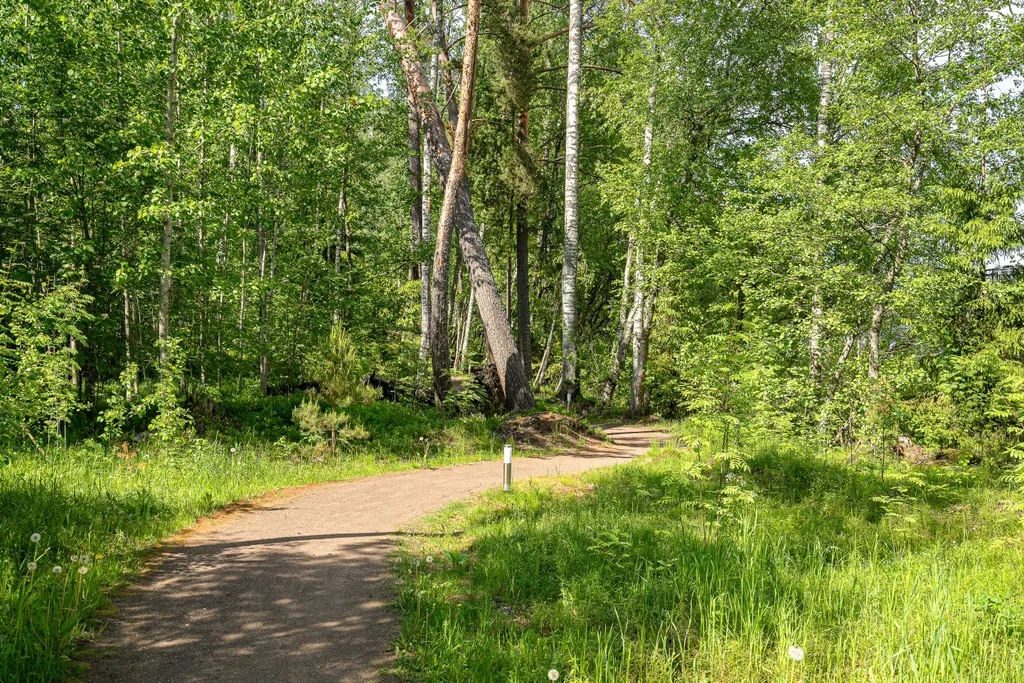 Уютный дом рядом с Игорой