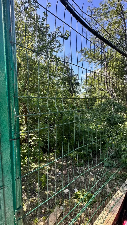 Коттедж Дом в лесу с баней и бассейном — Веселое