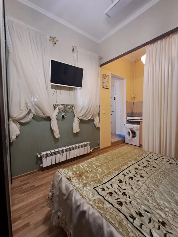 Студия в замке с видом на парк