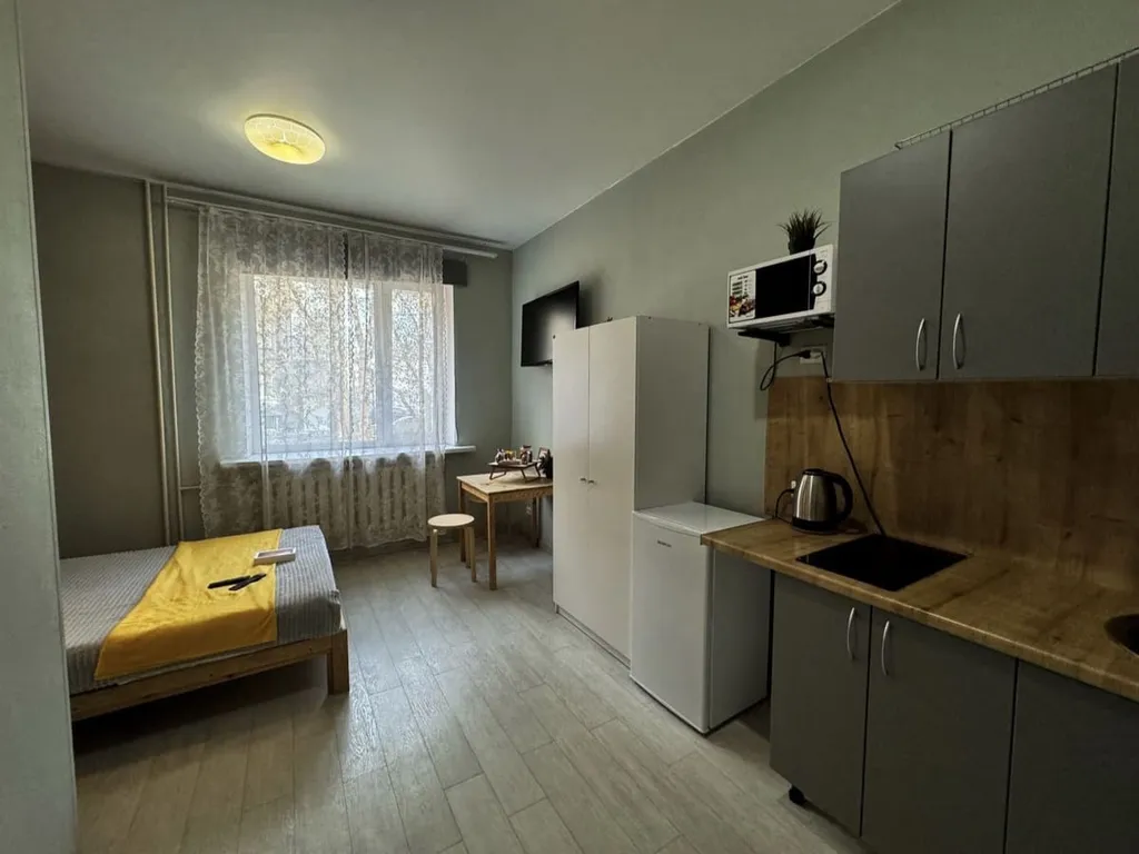 Уютная студия вблизи станции метро "Площадь Ленина"