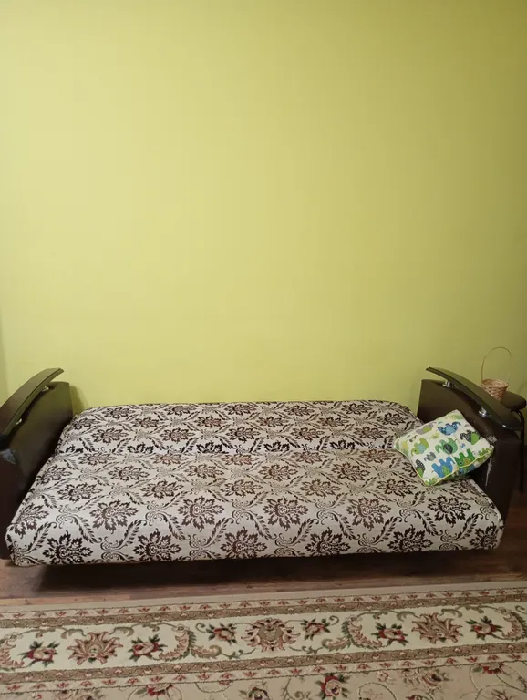 Просторная однокомнатная квартира