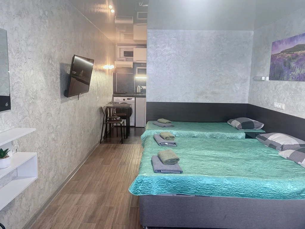 Квартира 1-комнатная Квартира — Сириус