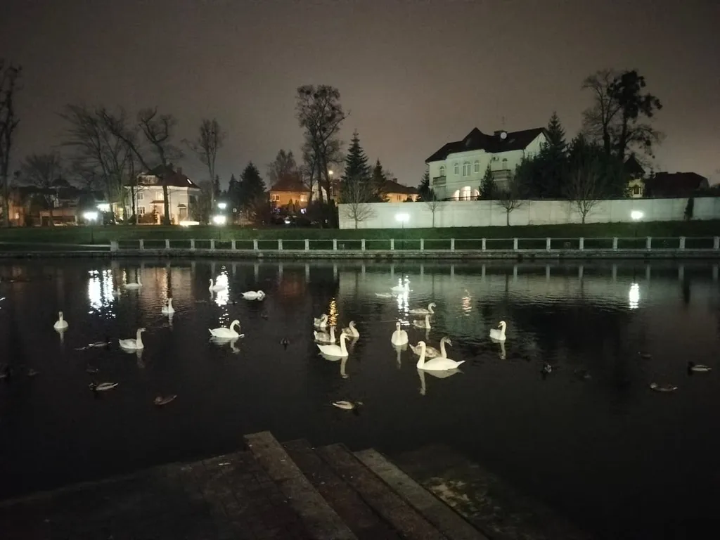 Квартира Апартаменты с видом на Верхнее озеро — Калининград