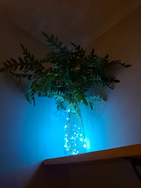 Квартира Квартира в гармонии с природой — Светлогорск