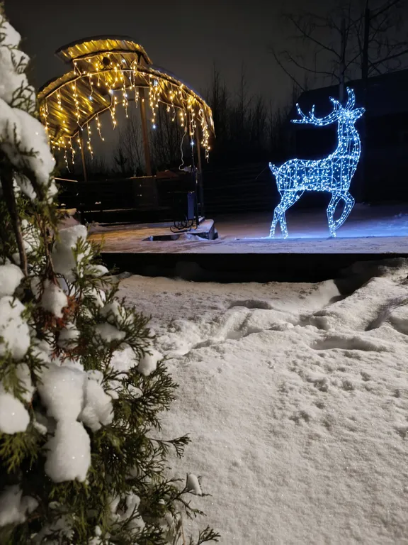 Гостевой дом Infinity Forest Карелия