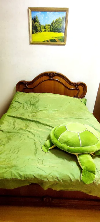 Большая квартира в центре города