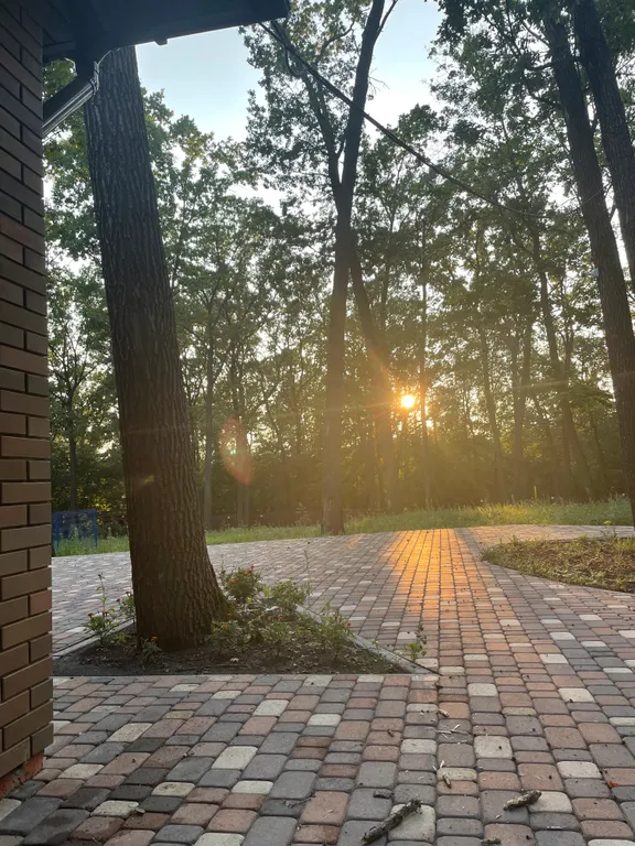 База отдыха «Дубовая роща »