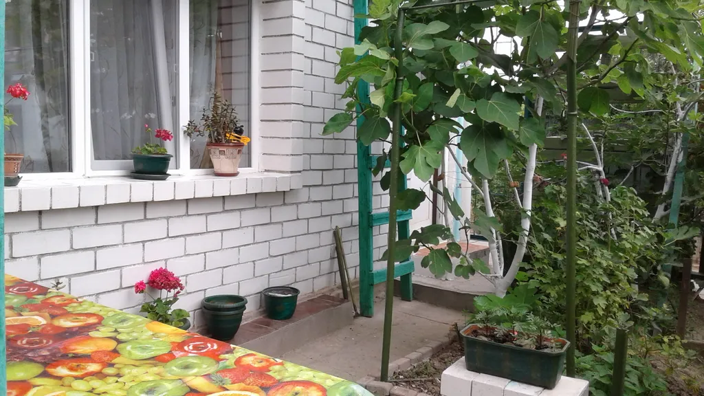 Уютная однокомнатная квартира с зеленым двором