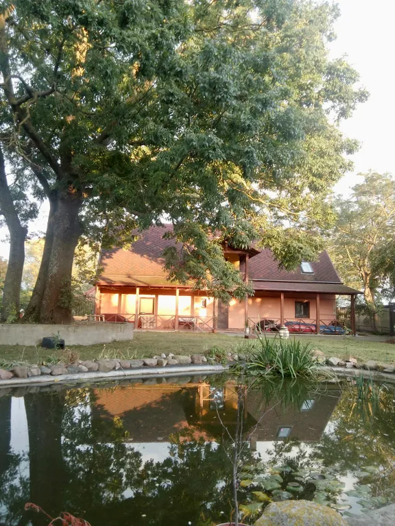 Коттедж Дом на участке с прудом идеальное расположение у залива — аренда посуточно в Лесной