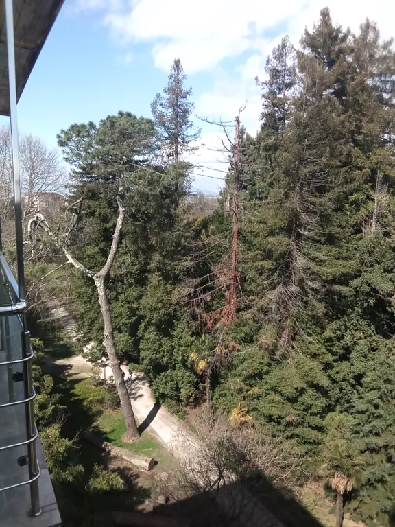 Квартира Квартира Добро пожаловать в Сириус — Сириус