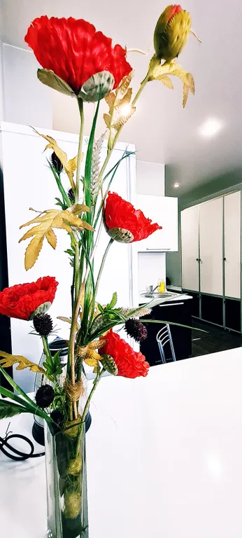 Квартира в центре