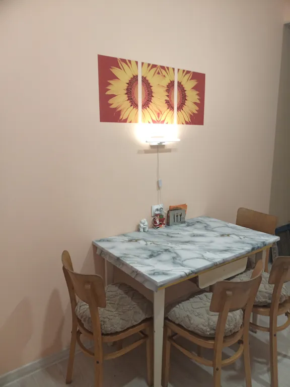 Уютная однокомнатная квартира