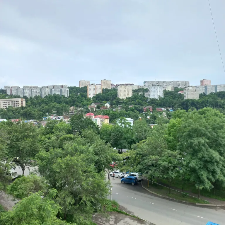 Квартира Уютная 1-комнатная квартира в тихом спальном районе — Владивосток