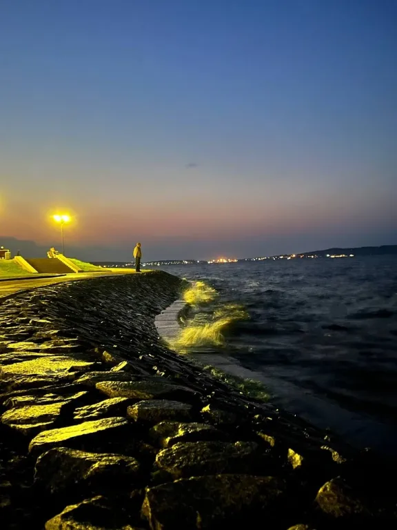 Квартира в расширенном центре