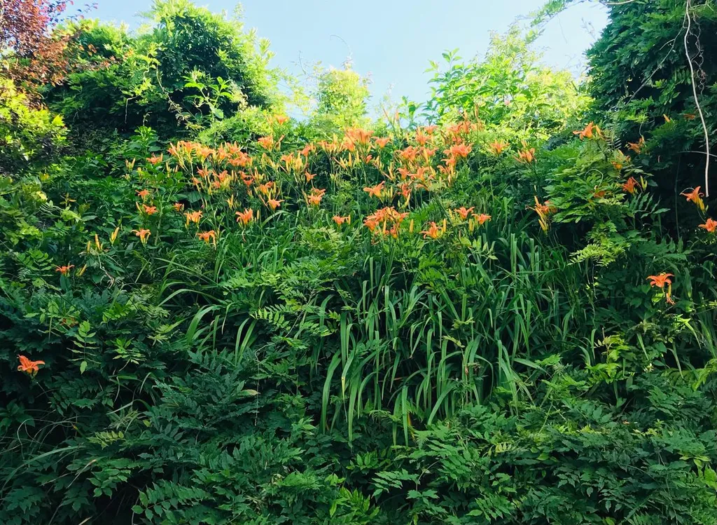 Коттедж Уютный, чистый дом с видом на горы — Сочи