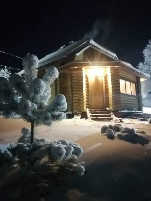Деревянный дом с камином, баней и чаном на берегу Меличуярви у леса