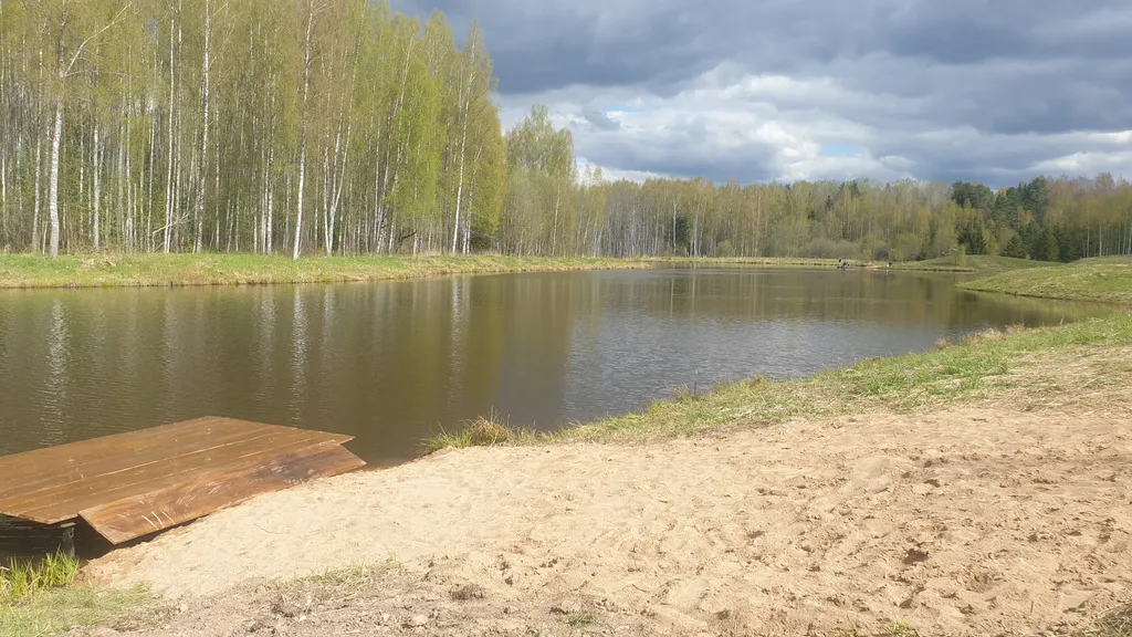 Дом с панорамными окнами с купелью