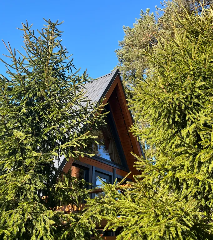 Коттедж Коттедж Шапкинские высоты — Тосно