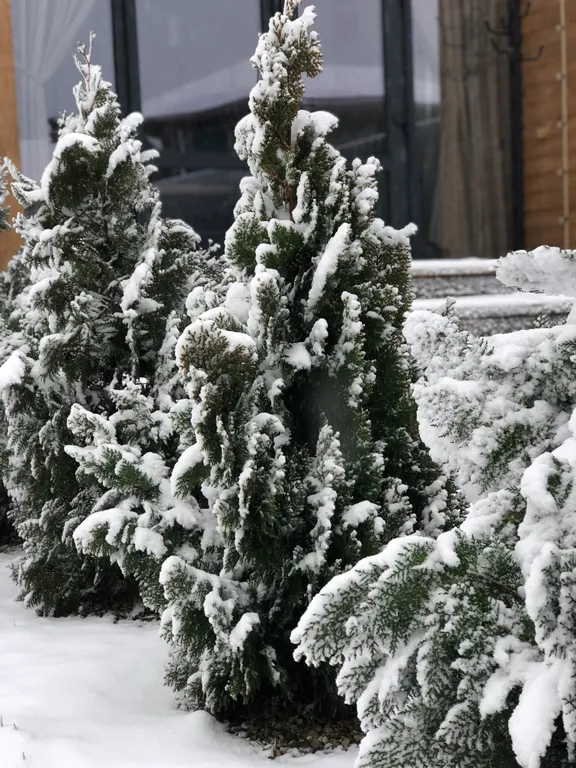 Дом в стиле barn house