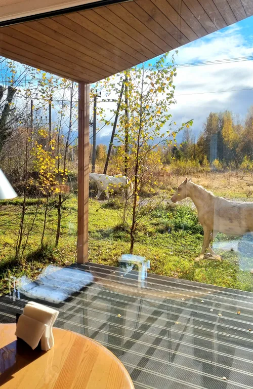 Коттедж Новый коттедж. Сауна и виды на природу-бесплатно — Санкт-Петербург