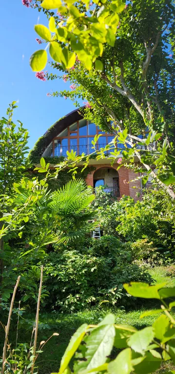 Солнце Ялты