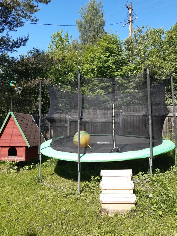 Дачный домик с Банькой в Карелии