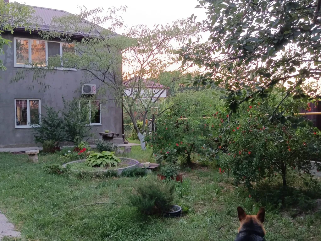 Эко дом в пригороде