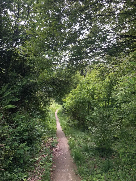 Студия Апартаменты с видом на море и лес