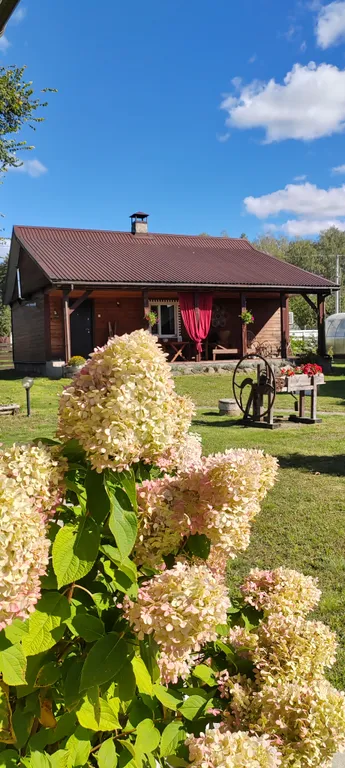 Усадьба Деревенский рай в Беловежской пуще