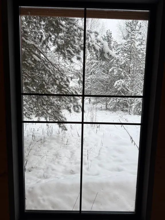 Уютный дом в лесу