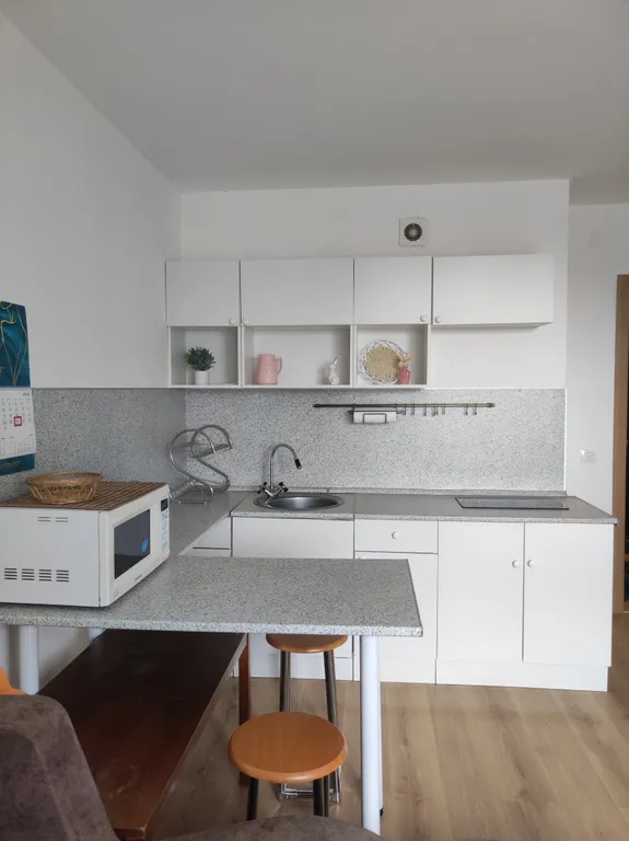 Квартира 1-комнатная Квартира — Песочный