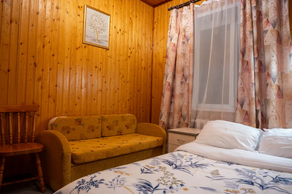 Дом с бассейном и сауной в 5 минутах на автомобиле до Коломенского Кремля