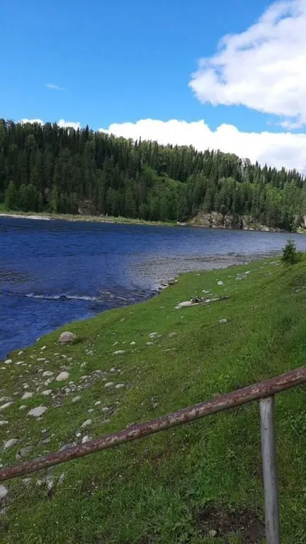 Дом из кедрового бруса