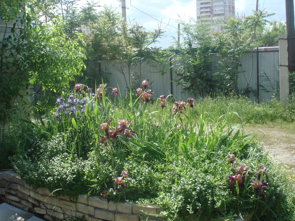 Квартира Частный дом со всеми удобствами — аренда посуточно в Астрахань