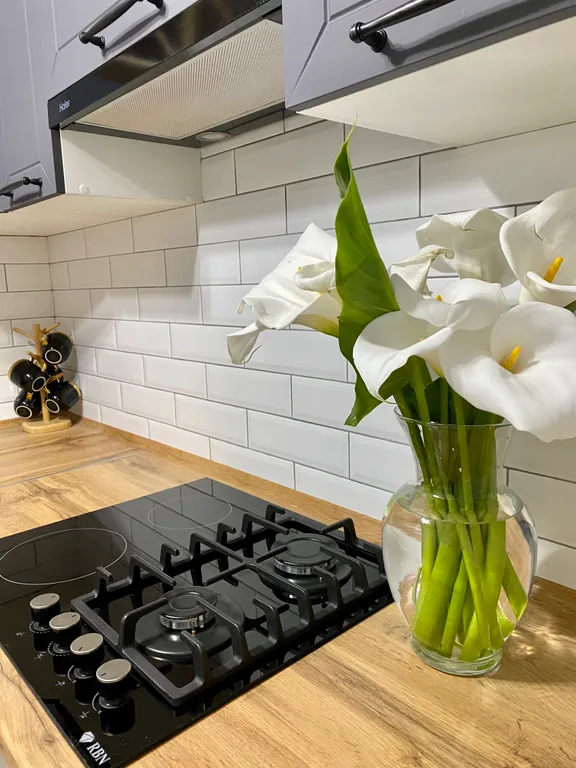 Квартира Квартира на берегу моря — Сухум