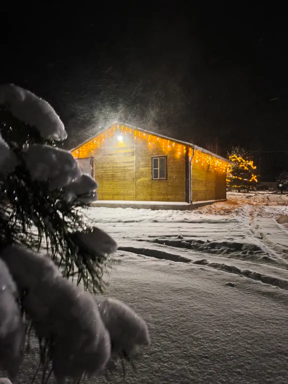 Дом с видом на лес дача лесника