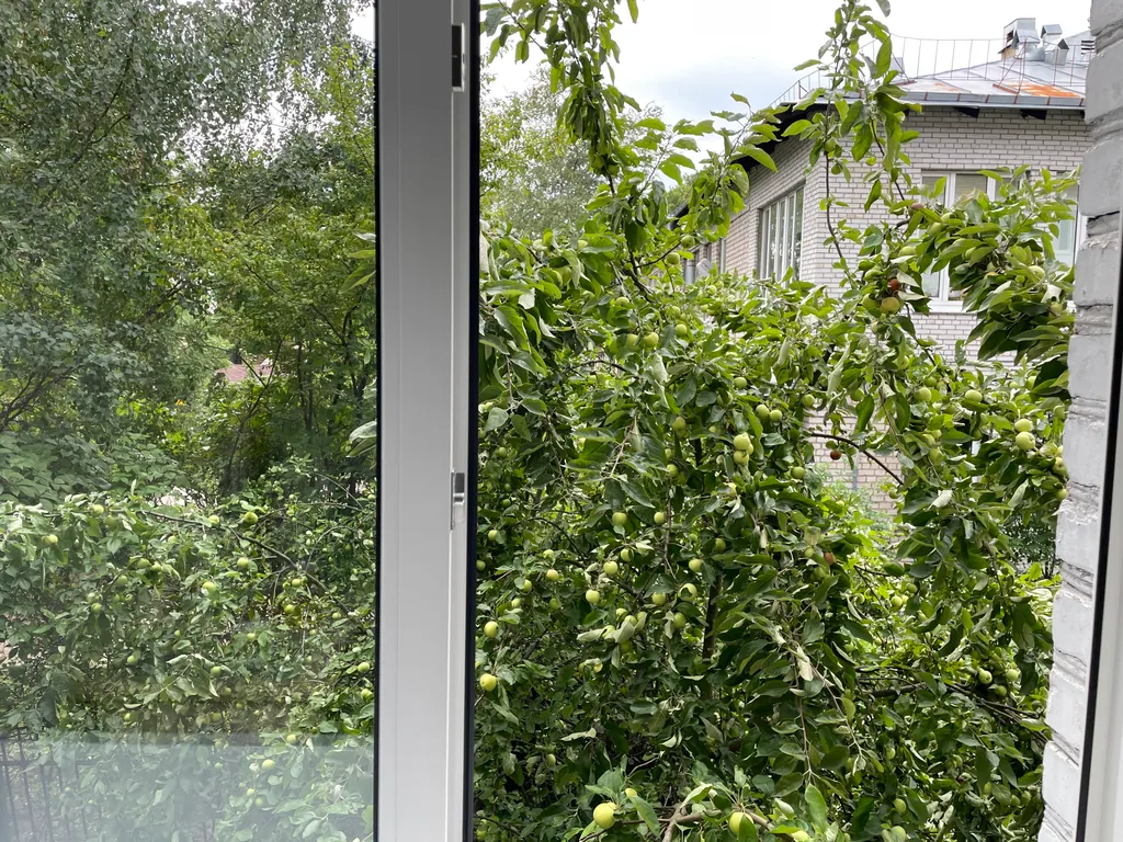 Квартира Уютная квартира в центре со свежим ремонтом — Пушкин