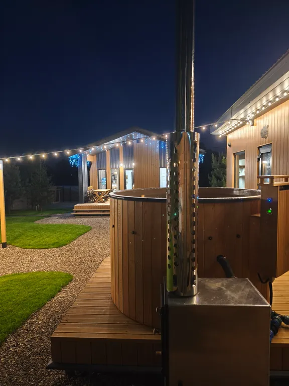 Skandi рыбка загородный дом у пруда в Подмосковье