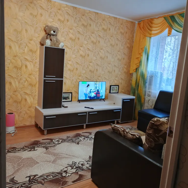 Уютная однокомнатная квартира на Завеличье