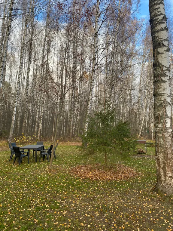 Уютный домик в лесу около реки