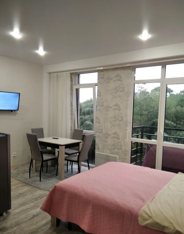 Квартира Квартира Розовая студия — Сириус